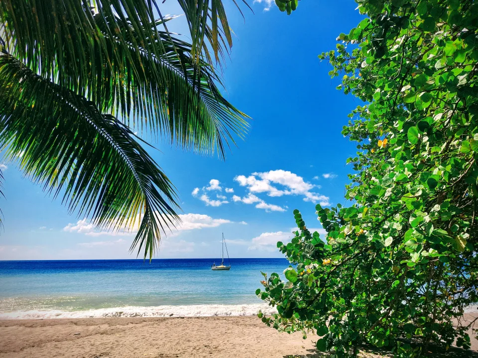 Palm-fringed Le Carbet beach and a sailboat off the coast of Martinique