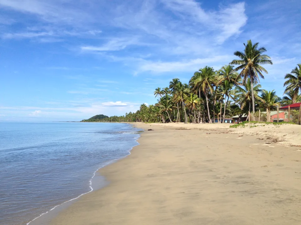 Fiji beach with palms beside the sea
