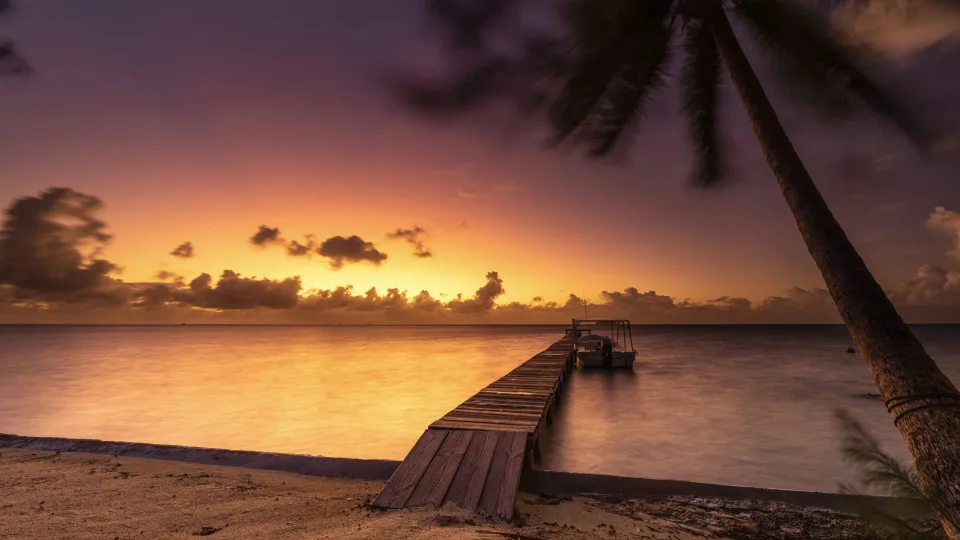 Regional Raiatea shore with a wooden pier and palm at sunset