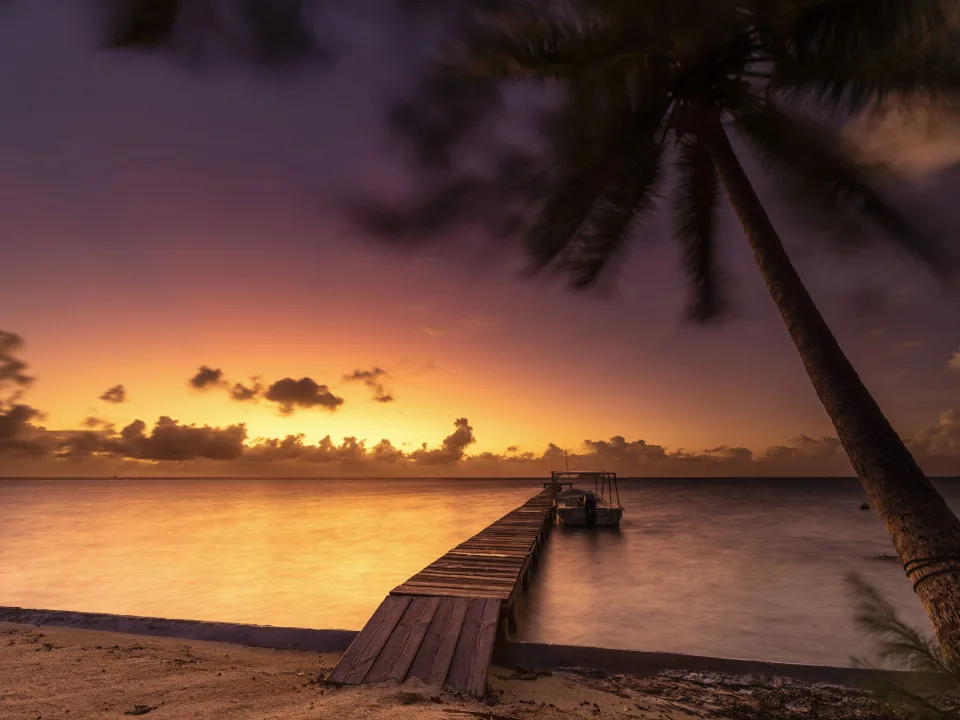 Regional Raiatea shore with a wooden pier and palm at sunset
