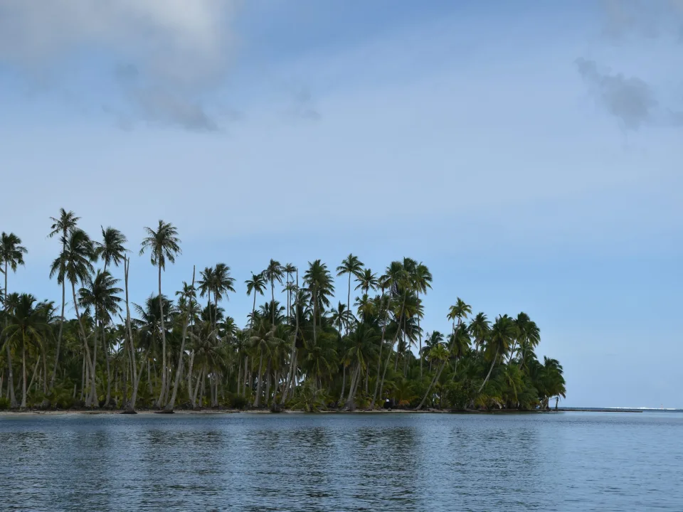 Regional French Polynesia context with a palm-lined Taha'a shore and water