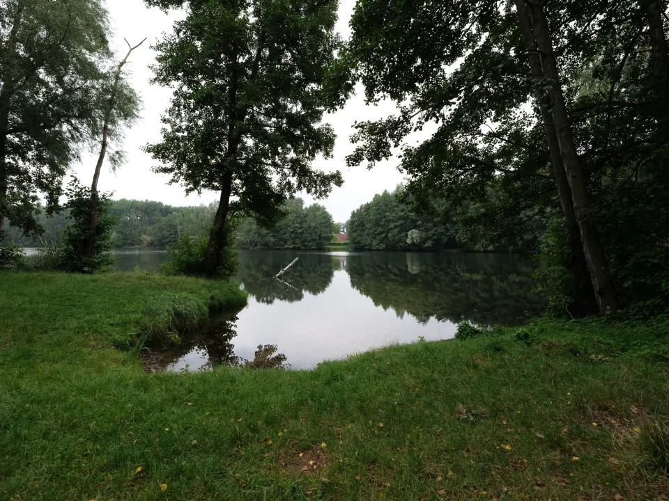 Regional nature context: the Raminstich clay-pit lake in Mildenberg