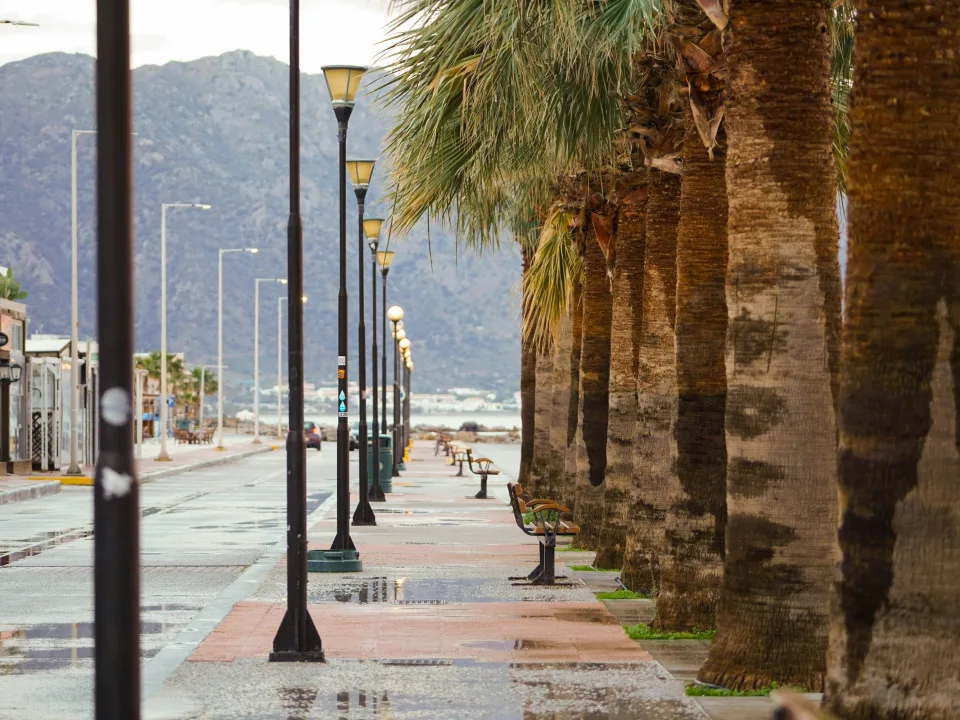 Palm trees along the waterfront promenade in Kardamena