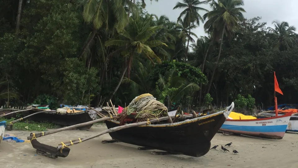 Fishing boats and palm trees at Anjuna, Goa