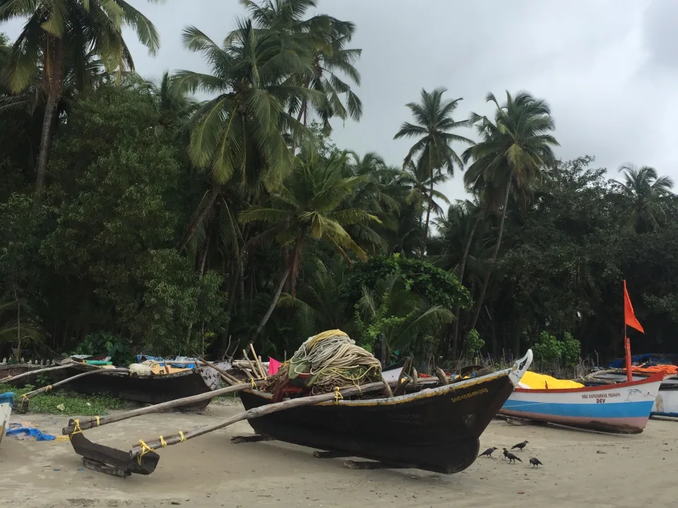 Fishing boats and palm trees at Anjuna, Goa