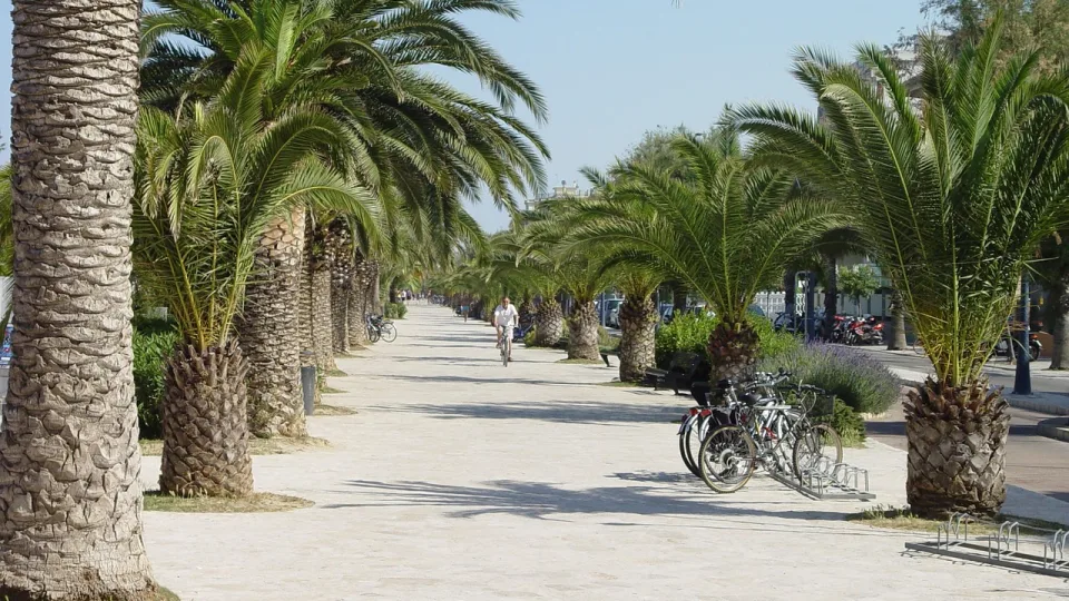 Palm-lined promenade in San Benedetto del Tronto