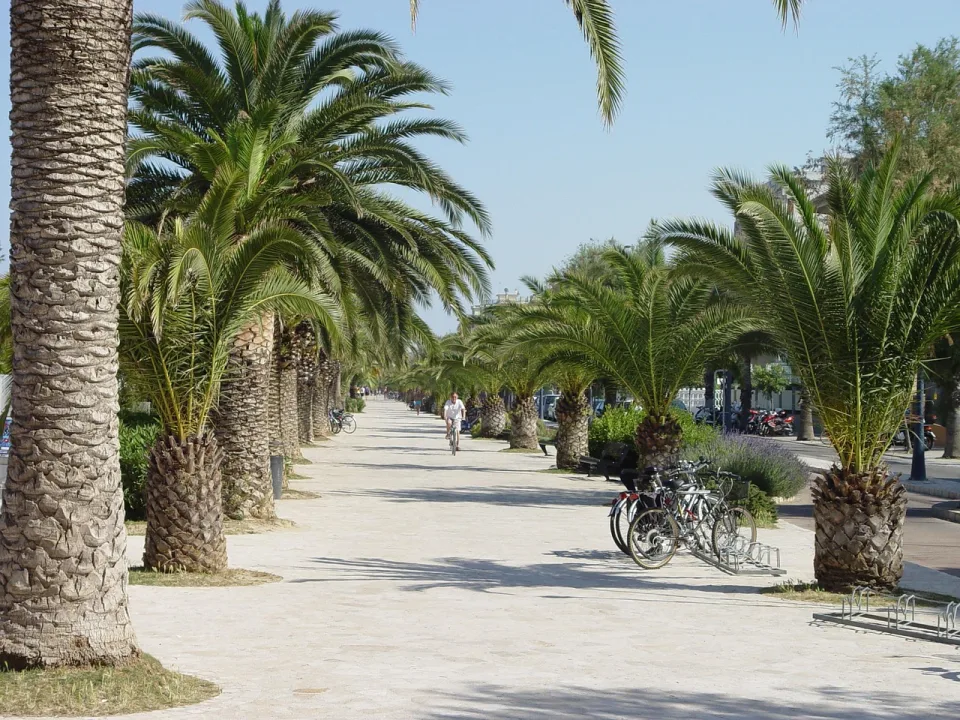 Palm-lined promenade in San Benedetto del Tronto