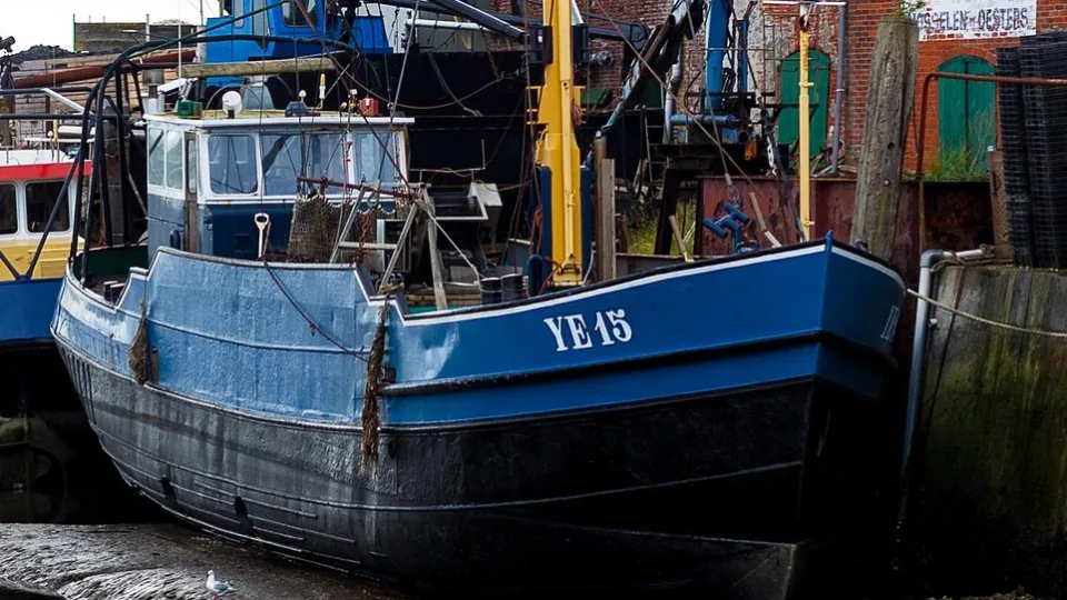 Fishing cutters beside the quay at low tide in Yerseke