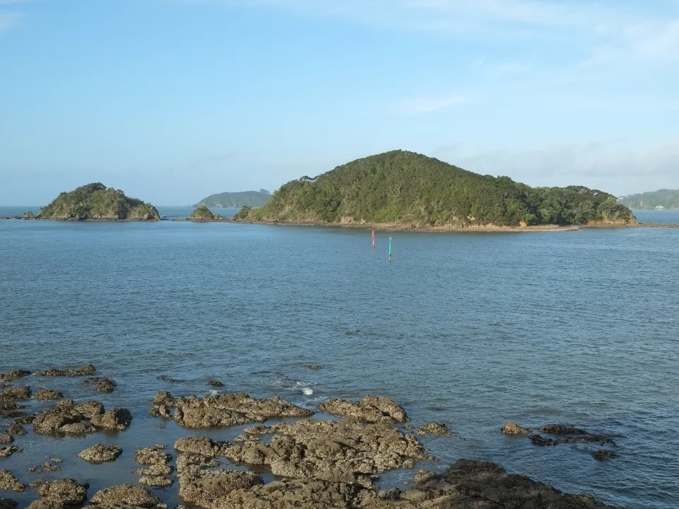 Wooded Motumaire Island across the water from Paihia, New Zealand