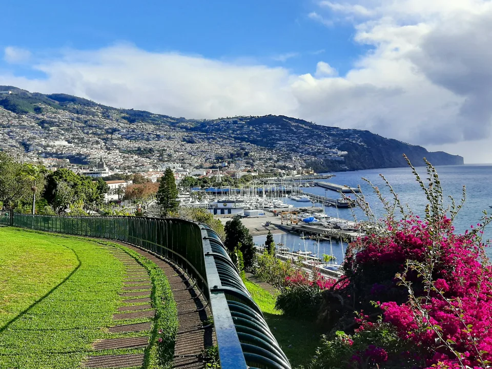 Funchal waterfront and marina below green hills, with park lawn and flowers in the foreground, Madeira