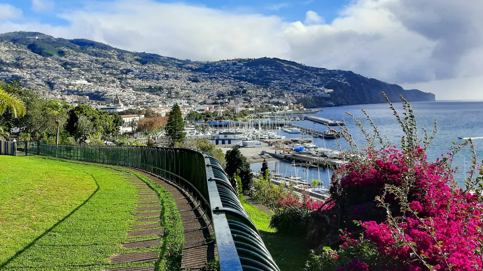 Funchal waterfront and marina below green hills, with park lawn and flowers in the foreground, Madeira