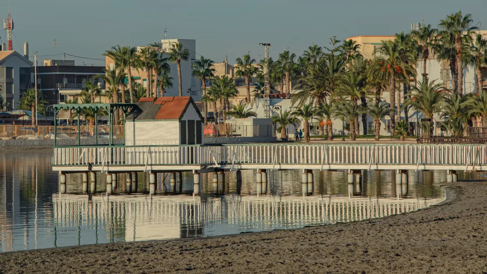 Palms and buildings along the San Pedro del Pinatar waterfront, Murcia