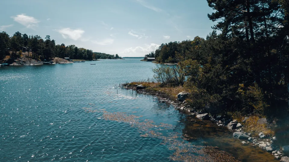 Regional Stockholm archipelago shoreline with wooded islands