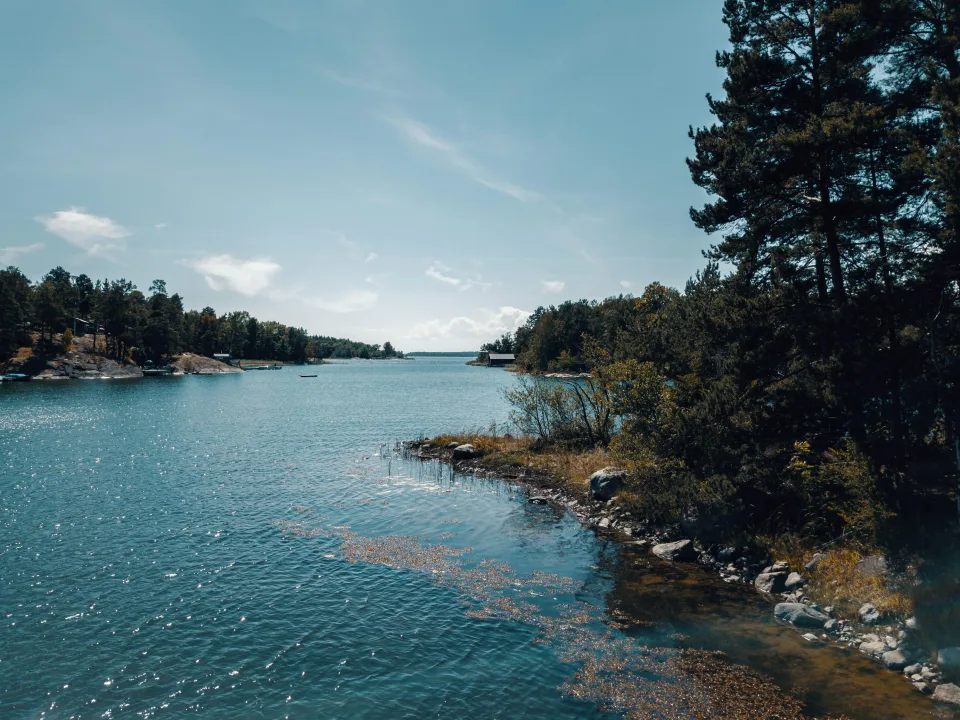 Stockholm archipelago shoreline with pine trees and open water
