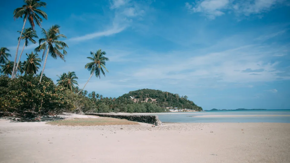 Palm-lined shoreline and sea on Koh Samui, Thailand