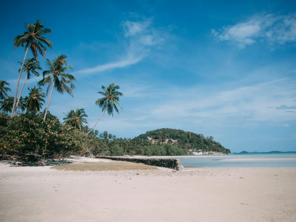 Palm-lined shoreline and sea on Koh Samui, Thailand