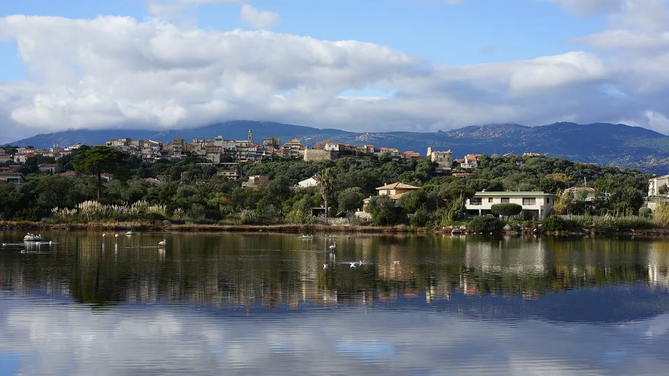 Porto-Vecchio and the wooded hills seen across its salt marshes.