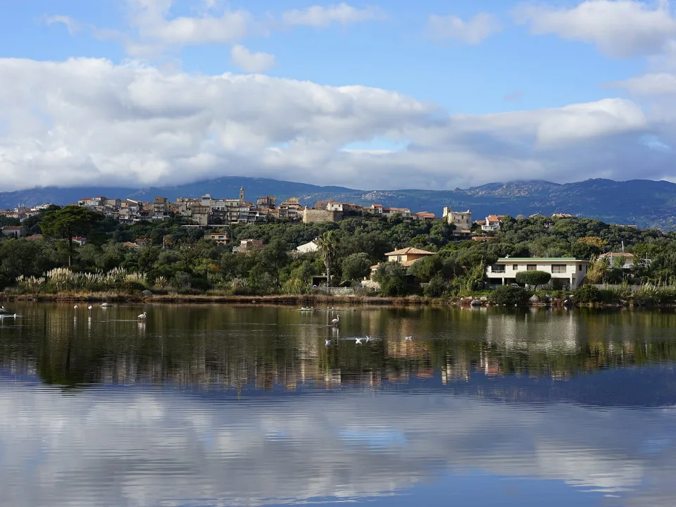 Porto-Vecchio and the wooded hills seen across its salt marshes.