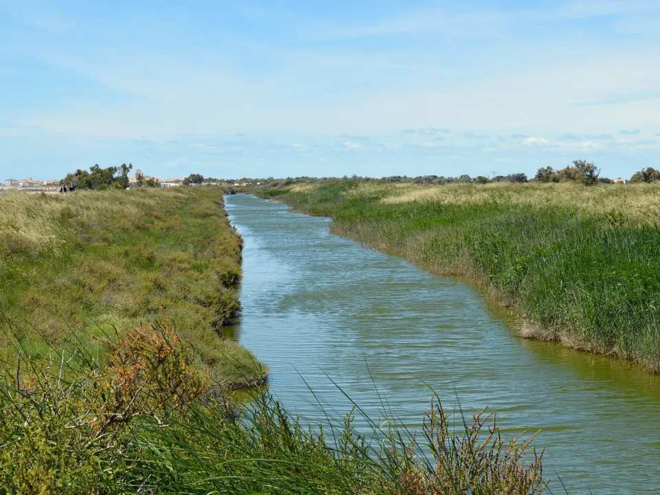 A wetland channel alongside the Digue de la Mer near Saintes-Maries-de-la-Mer, Camargue.