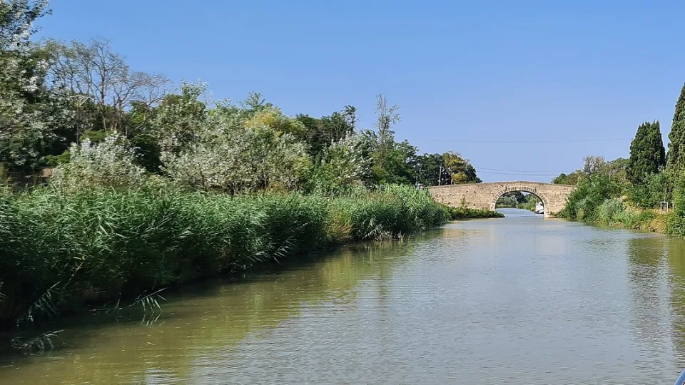 The tree-lined Canal du Midi at Homps, viewed from the water.