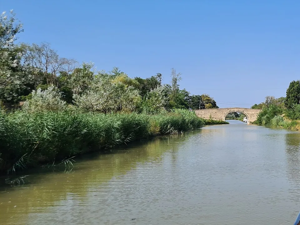 The tree-lined Canal du Midi at Homps, viewed from the water.