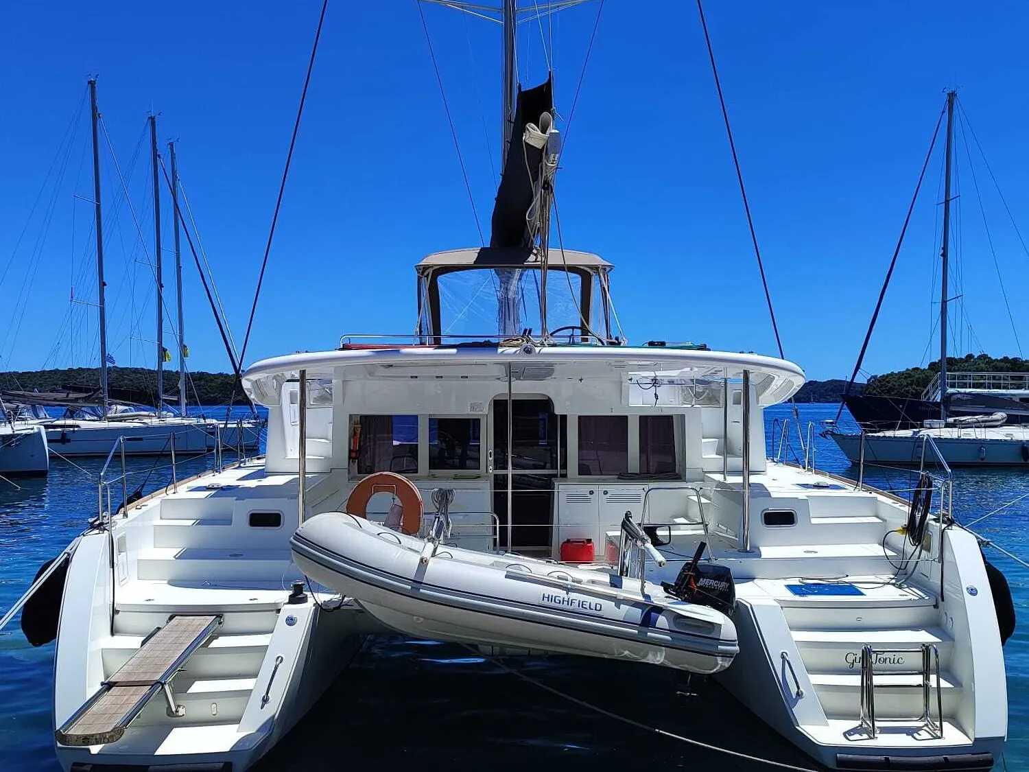 Lagoon 450 Fly Gin Tonic — foto dello yacht n. 1