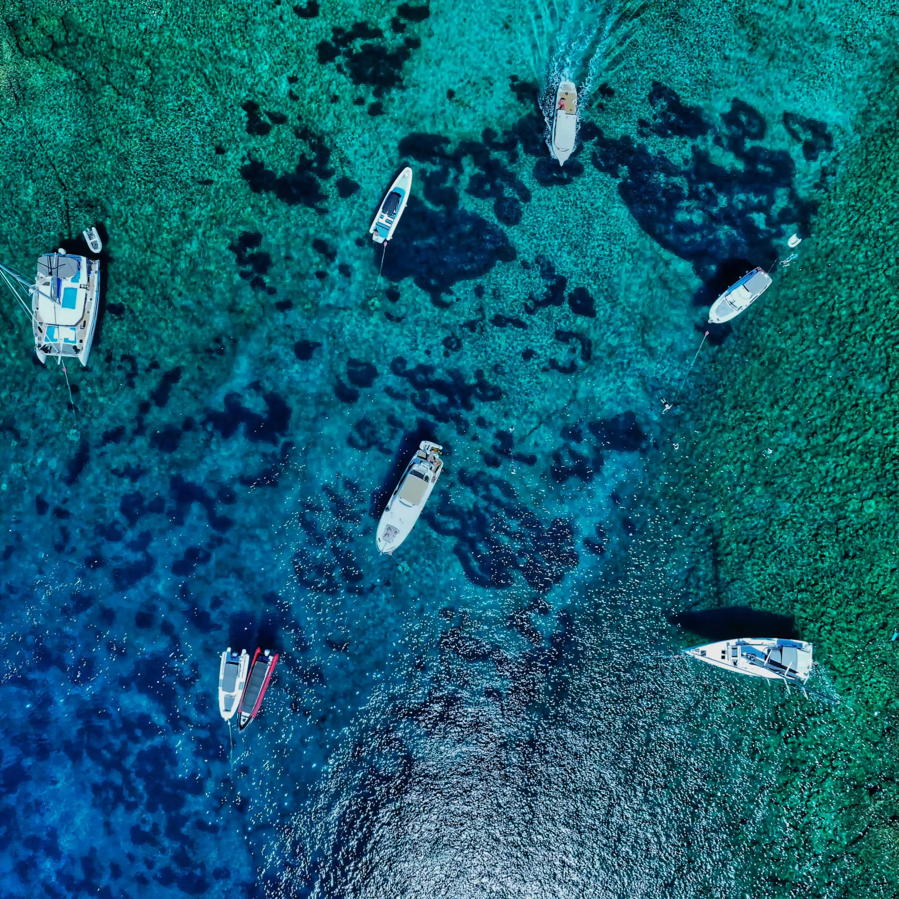 Prestige 46 Fly UNPLUGGED — yacht photo 13