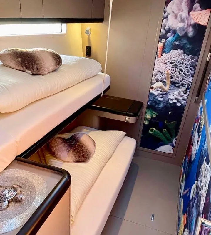 Jeanneau 57 CHAMPAGNE — yacht photo 7