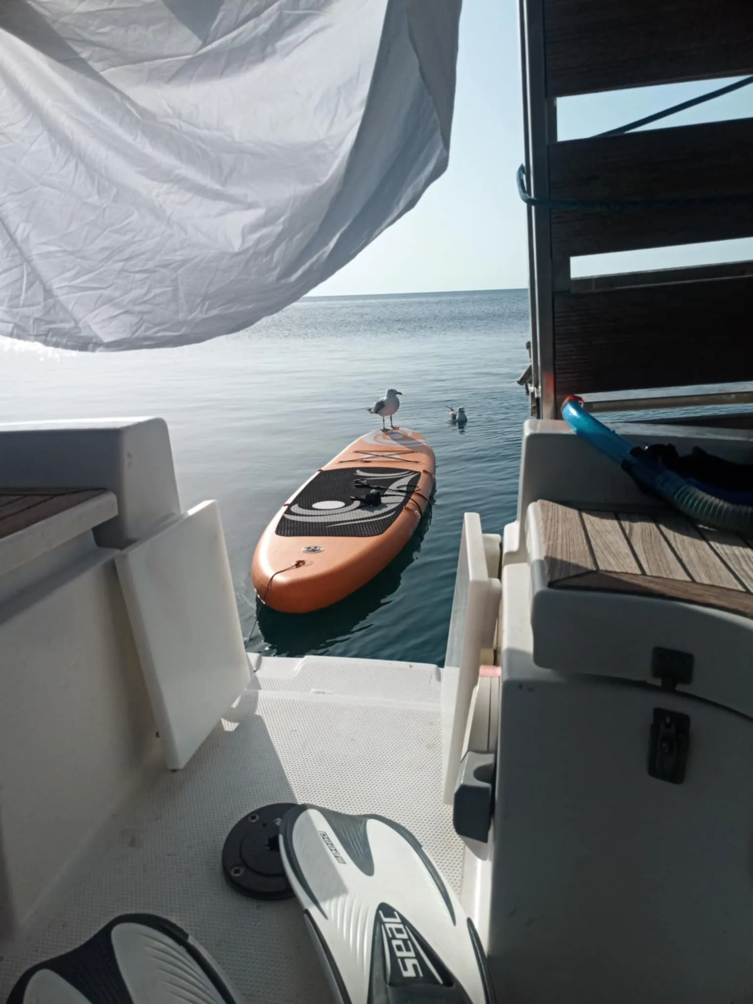 Hanse 342 9 Muses — fotografia jachty 2