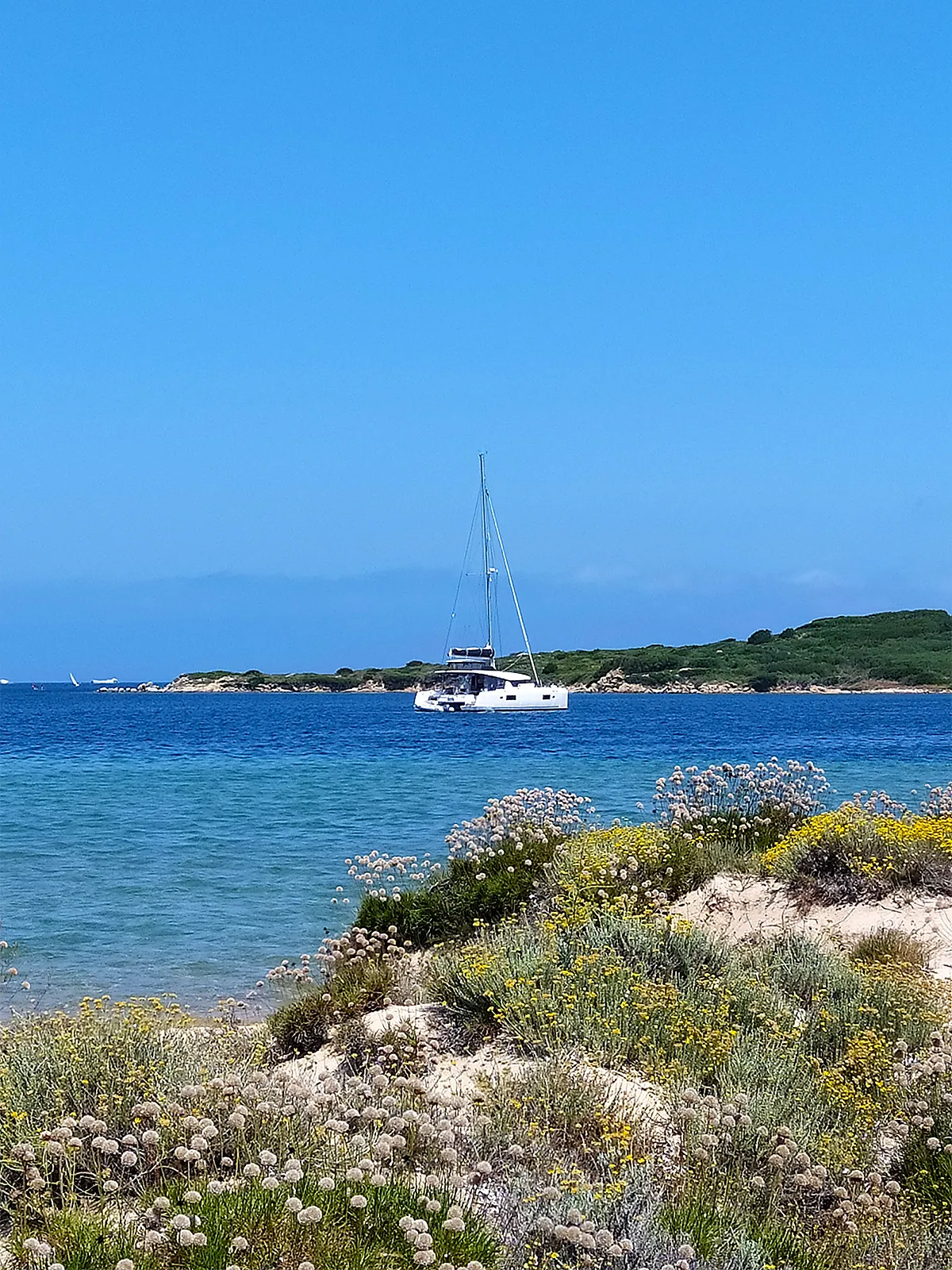 Lagoon 450 Fly Pollo — yacht photo 2