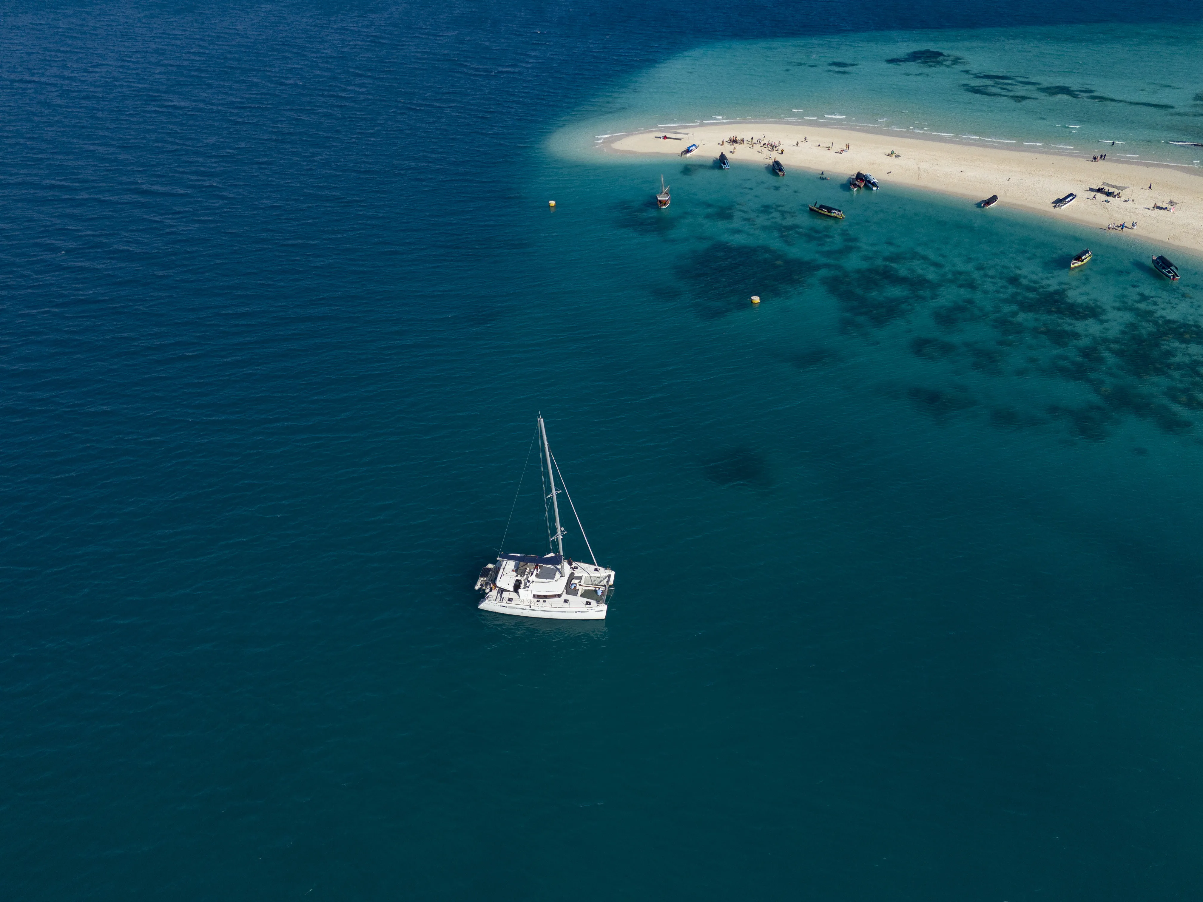 Lagoon 450 Fly Butterfly — foto dello yacht n. 14