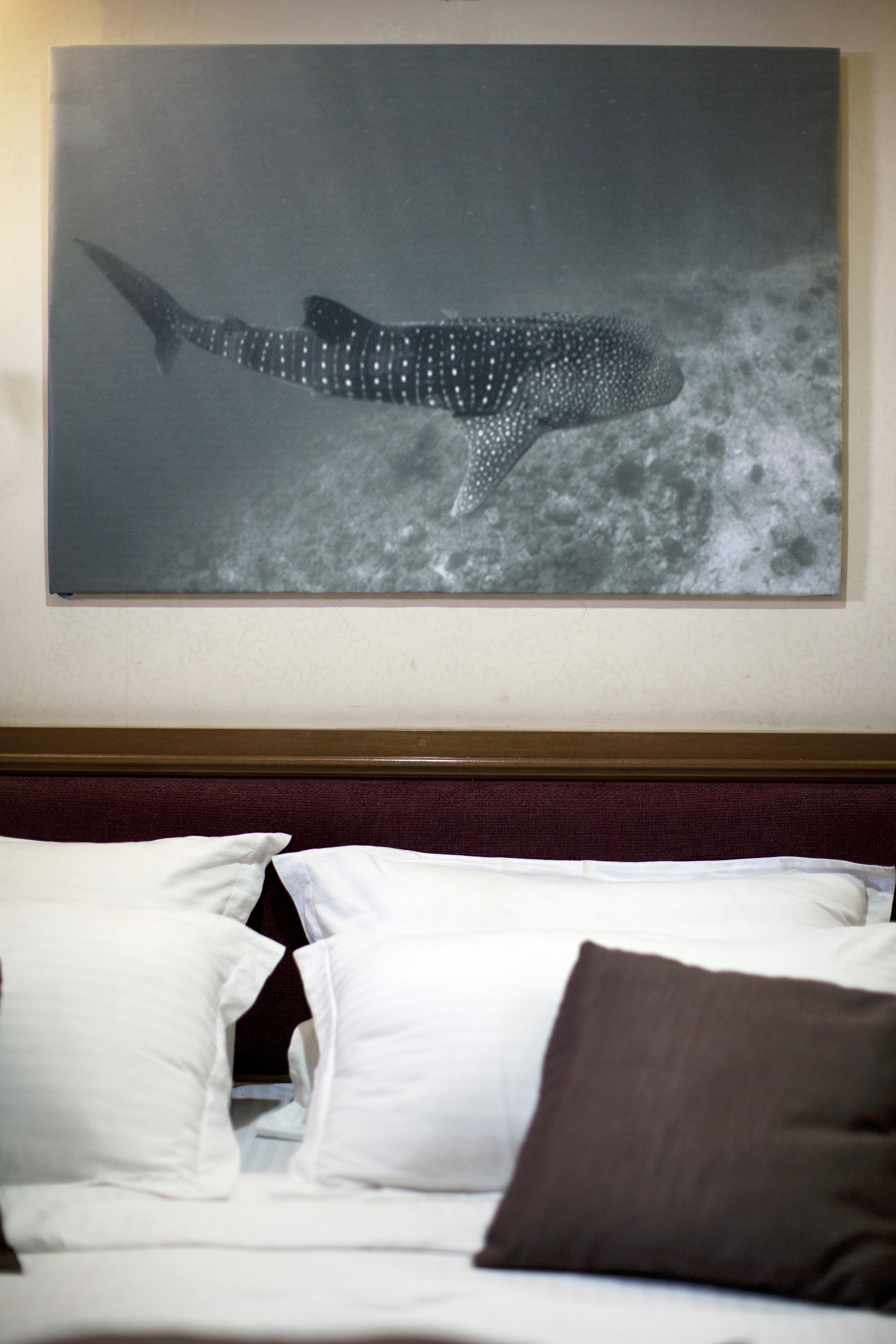 Motoryacht CAB4 — fotografia jachty 21