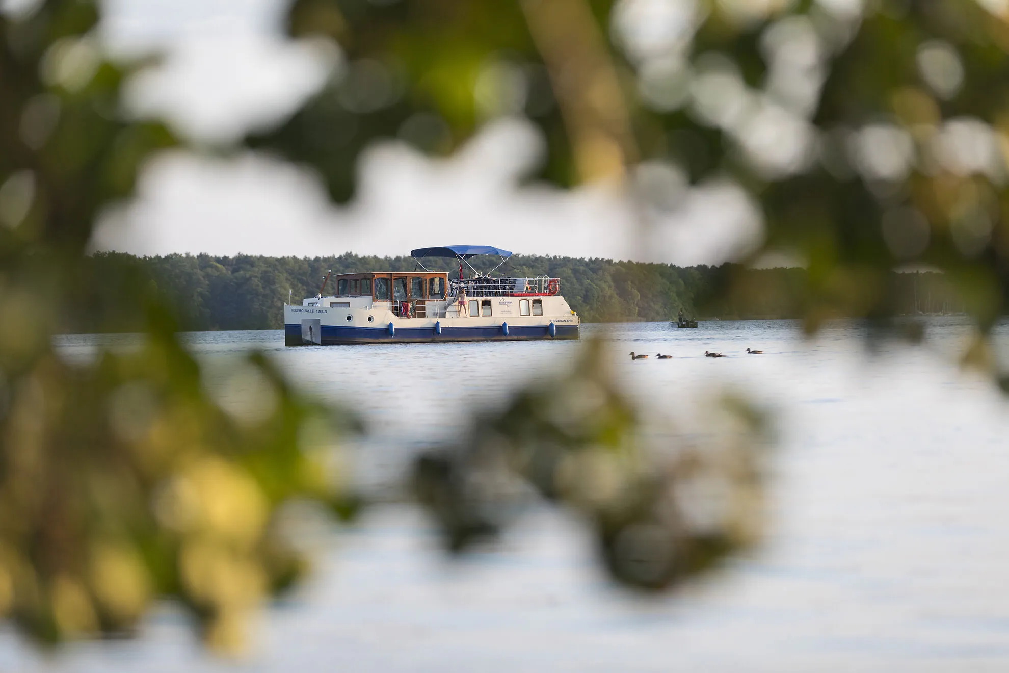 Kormoran 1280 — jahtikuva 39