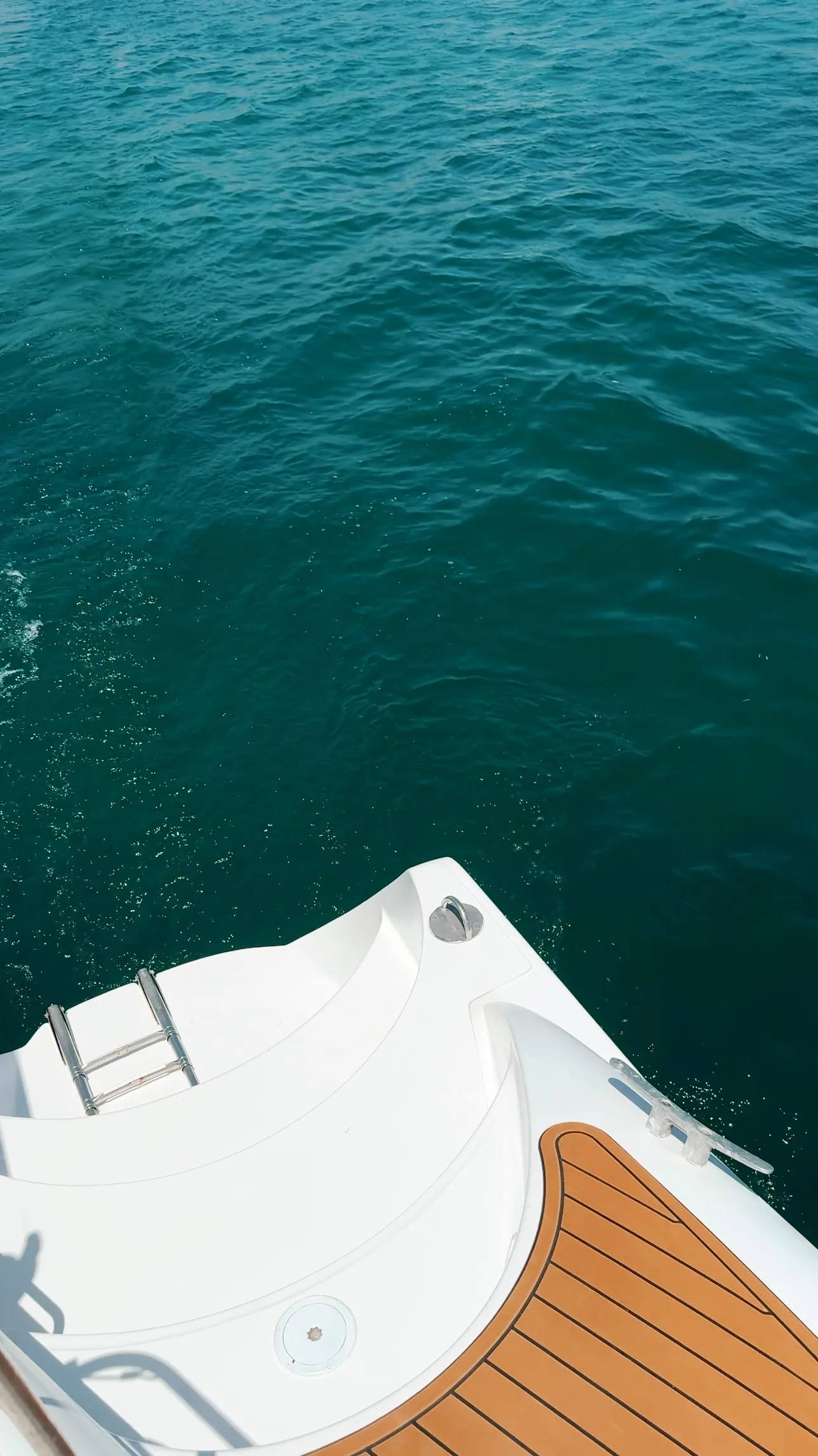 Bahia 46 Alion — fotografia jachty 32