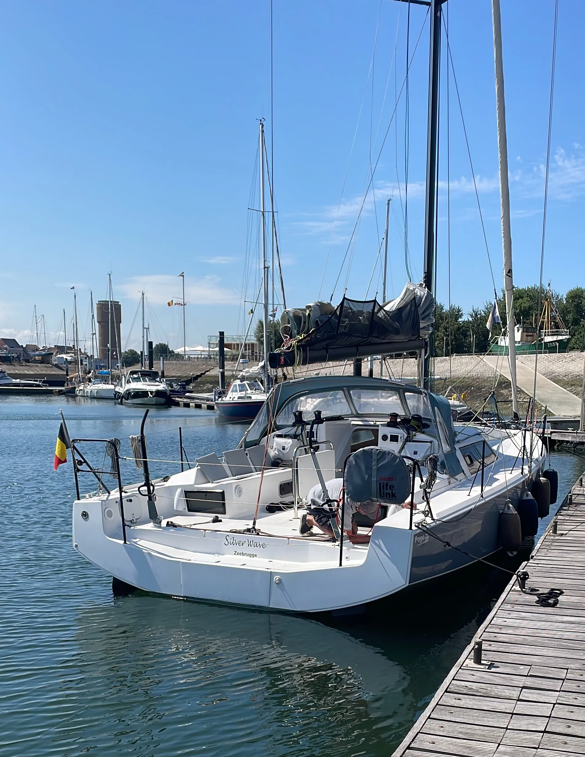 Pogo 36 SILVER WAVE — фотография яхты 2
