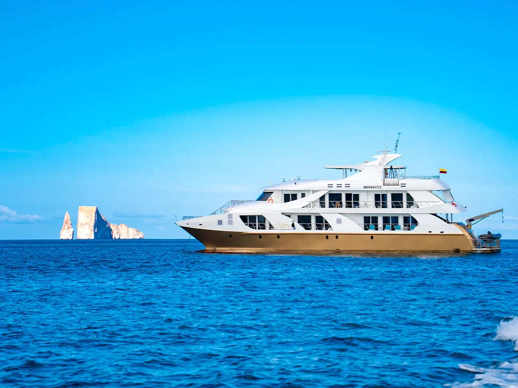 Power Catamaran Elite — yacht photo 5