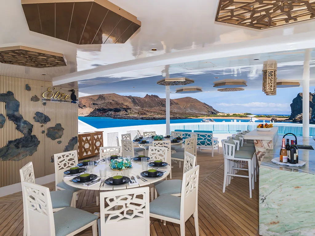 Power Catamaran Elite — yacht photo 7