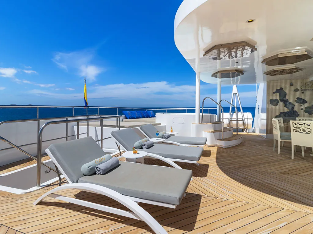 Power Catamaran Elite — yacht photo 4