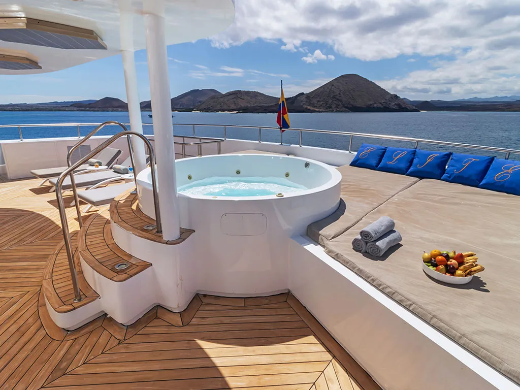 Power Catamaran Elite — yacht photo 9