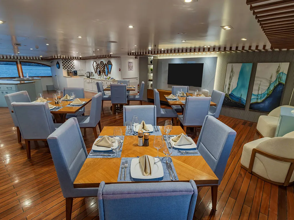 Power Catamaran Ocean Spray — yacht photo 12