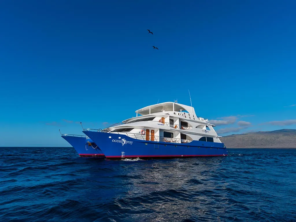 Power Catamaran Ocean Spray — yacht photo 10