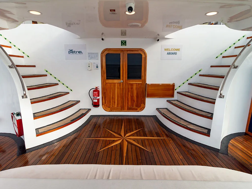 Power Catamaran Petrel — фотография яхты 2