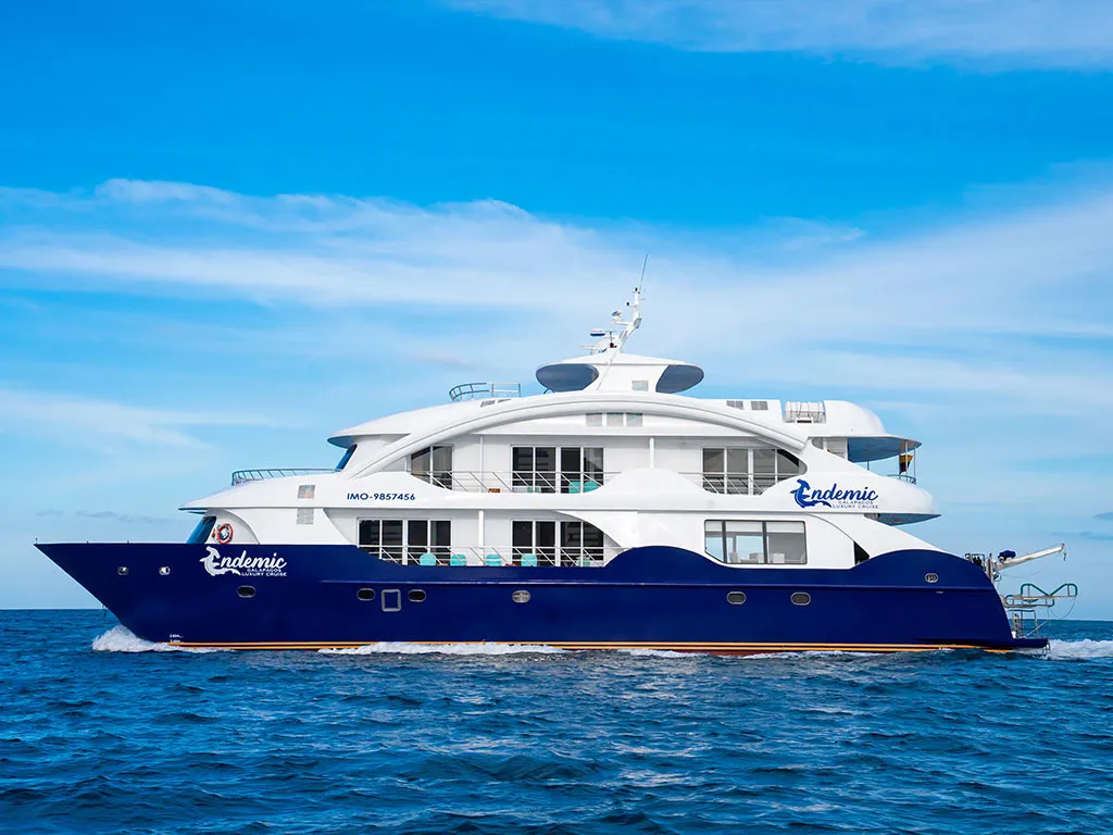 Power Catamaran Endemic - Cabin 4 — jahifoto 1