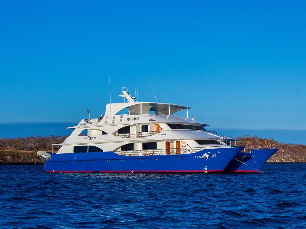 Power Catamaran Ocean Spray - Cabin 4 — jahifoto 1