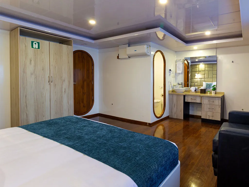Power Catamaran Petrel - Cabin 1 — jahtikuva 3