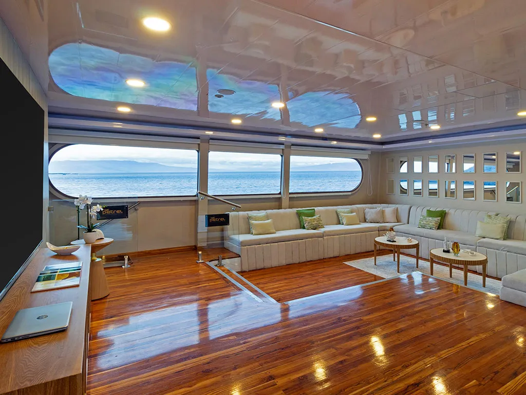 Power Catamaran Petrel - Cabin 4 — jahtikuva 3