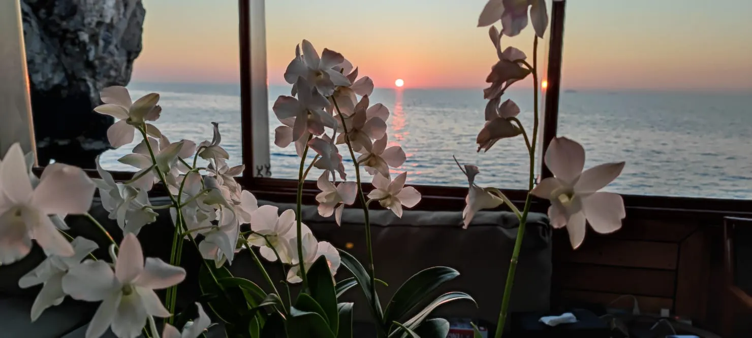 Motoryacht Maha Bhetra — Yachtfoto 8