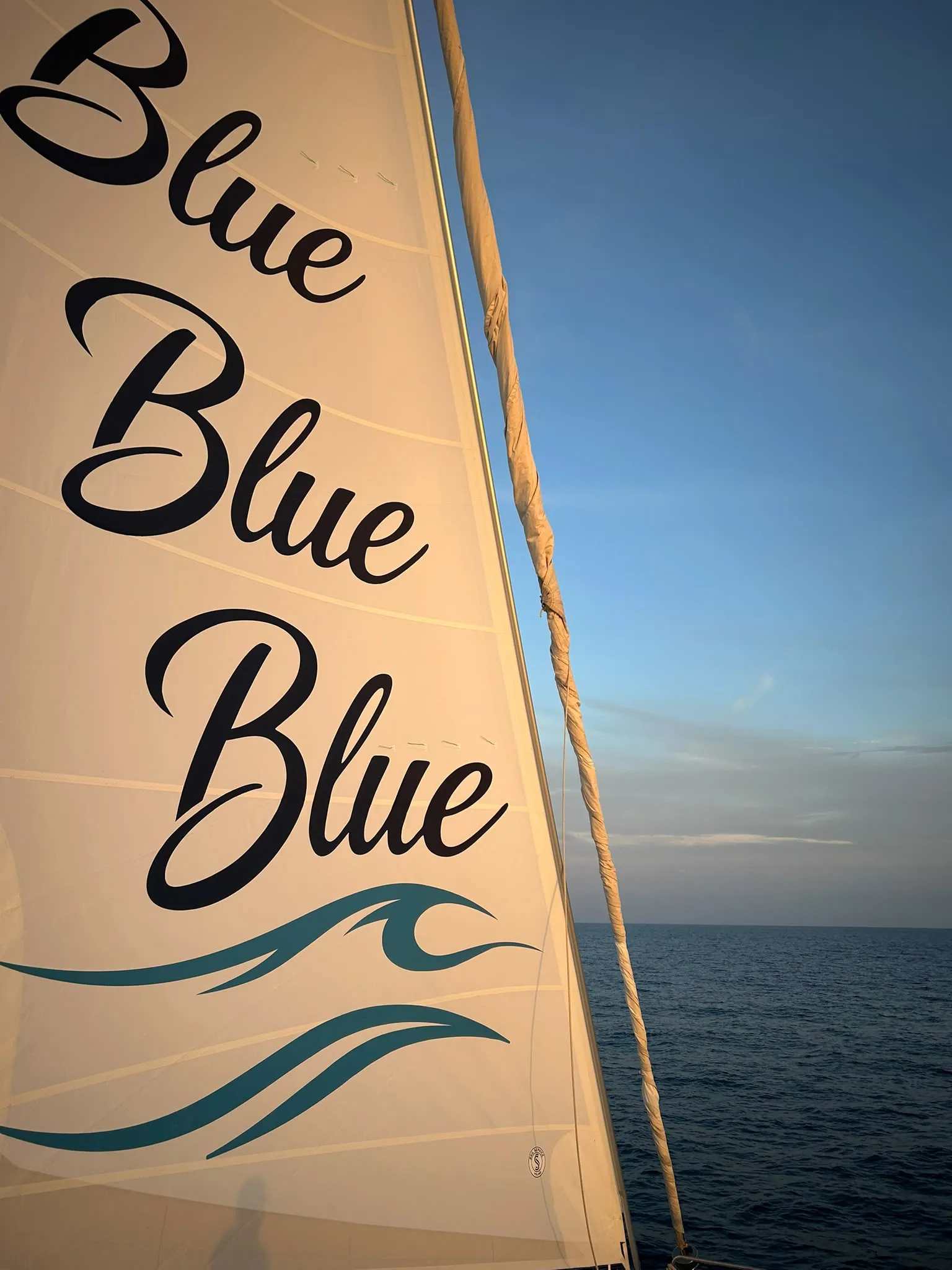 Bali 5.4 Blue — фотография яхты 10